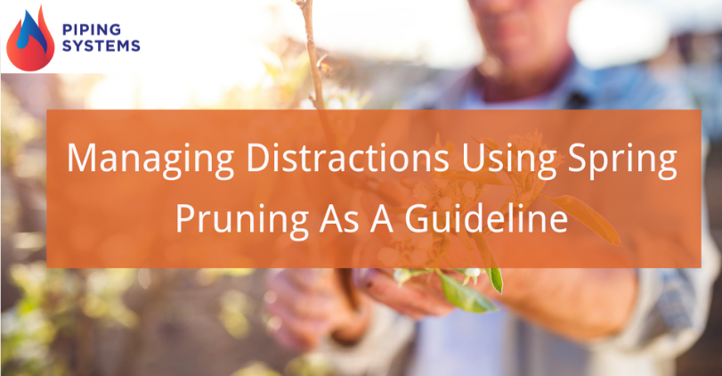 Managing Distractions Using Spring Pruning as a Guideline